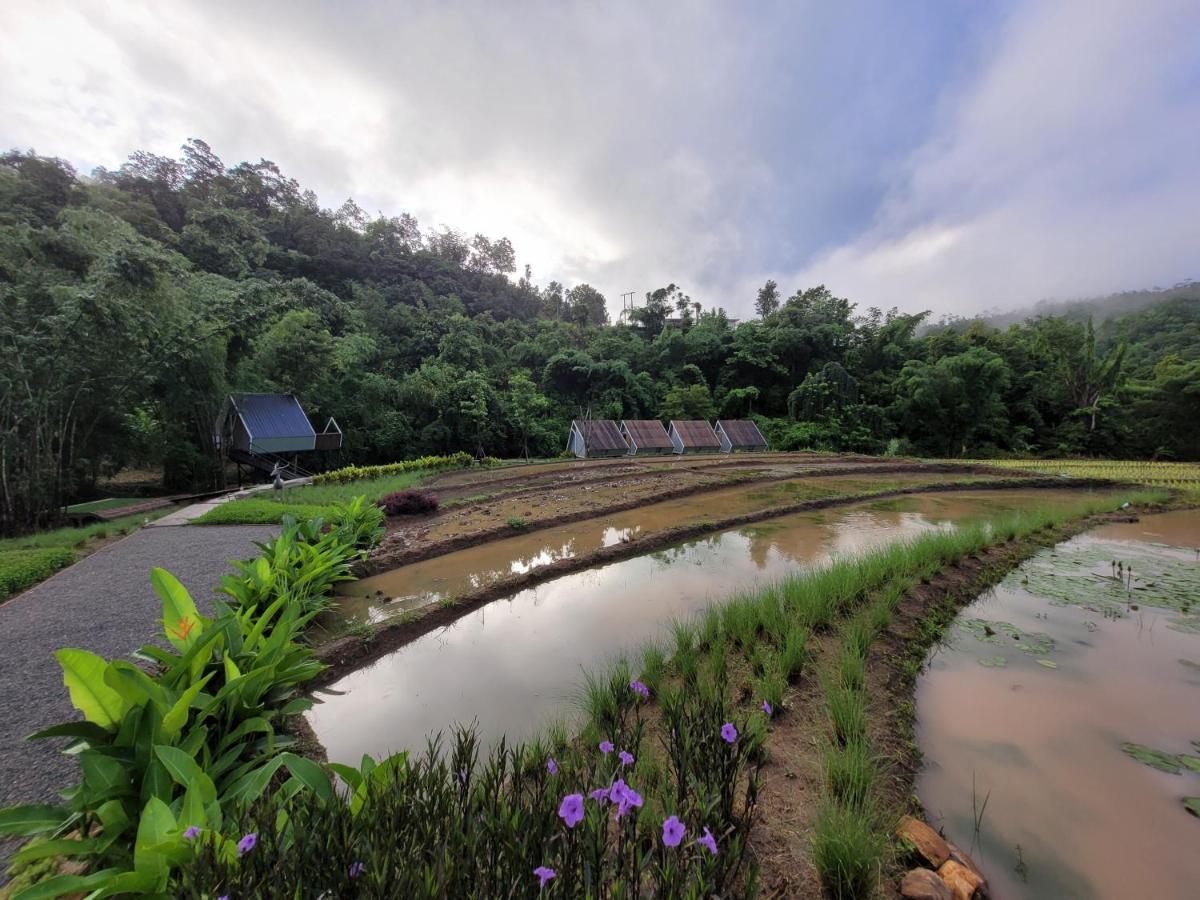 Guest house Aomlonghomenon